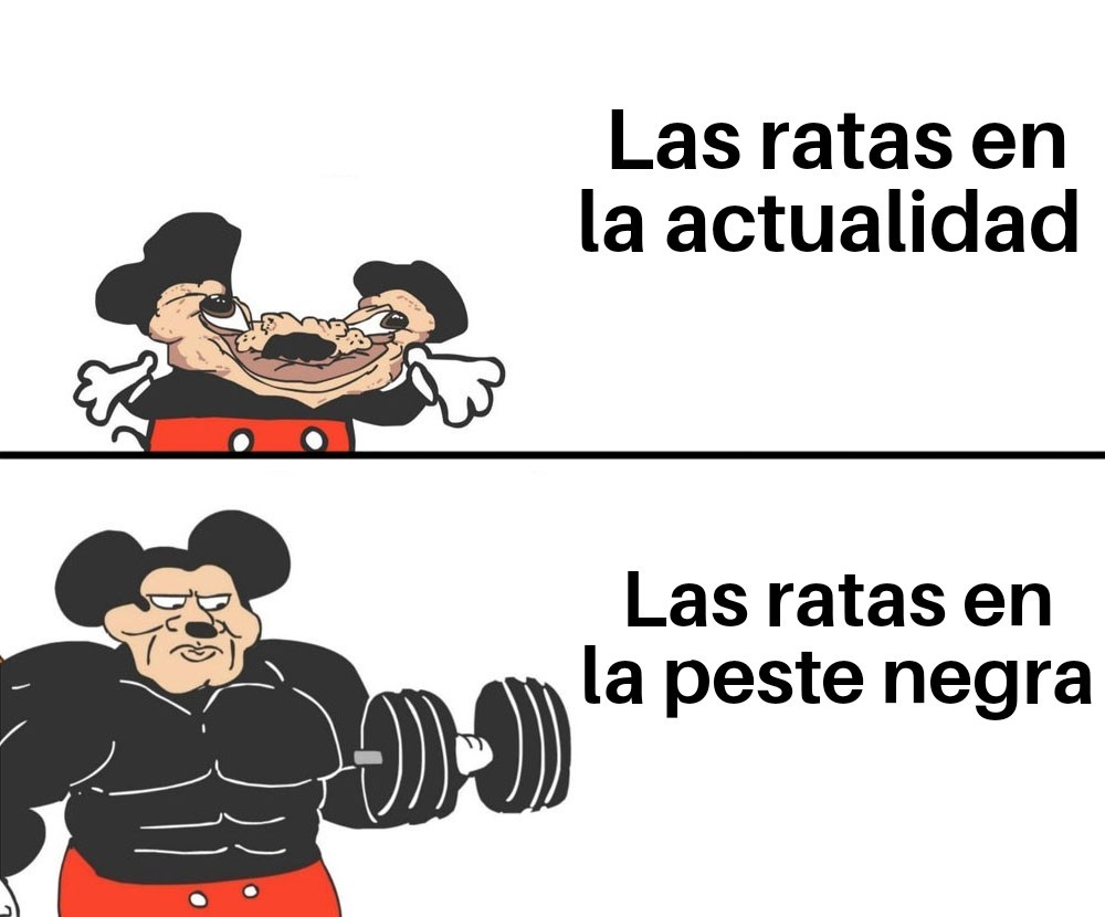 Las ratas en el fornite - meme