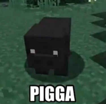 pigga - meme