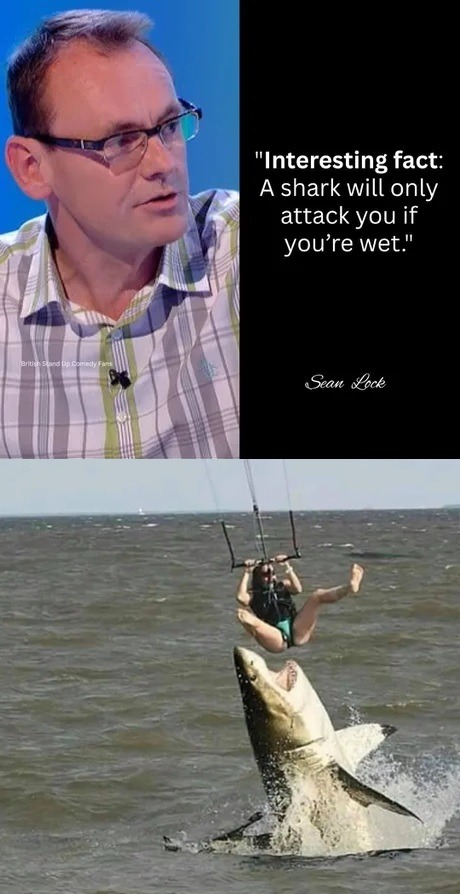 Shitpost - meme