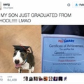 comment graduated doggo on the next meme