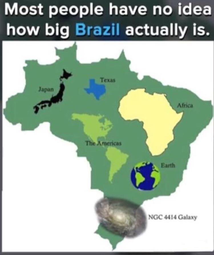 Brasil é grande pora - meme