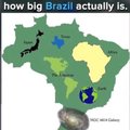 Brasil é grande pora