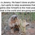 Pangolins is the most poached animal in the world and are going extinct