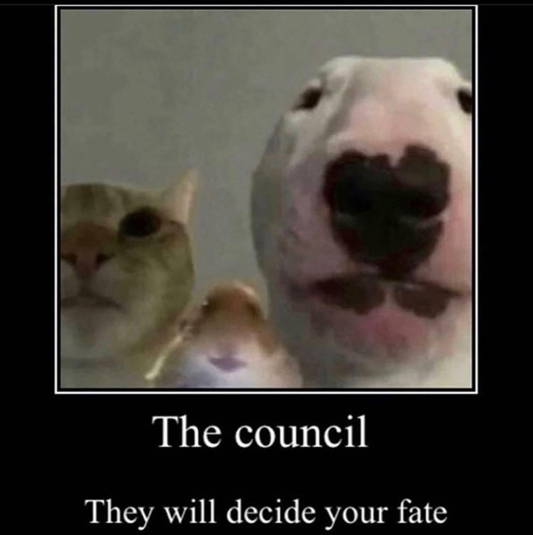 The council - meme