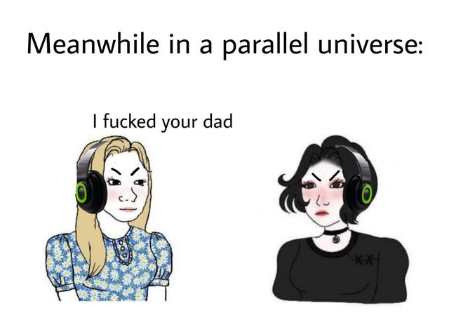 Meanwhile in a parallel universe - meme