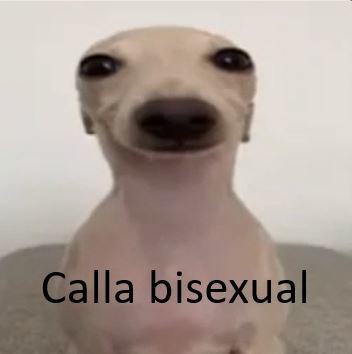 Calla bisexual - meme