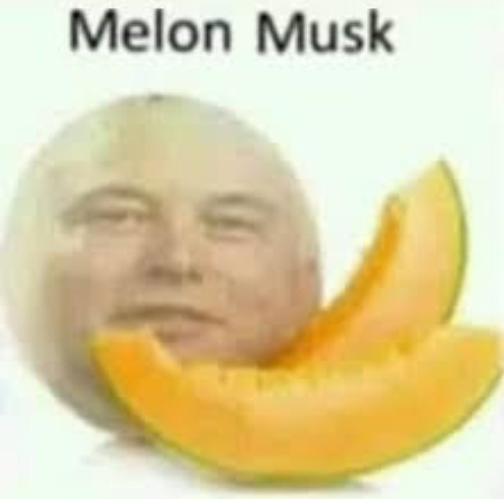 Melon Musk - meme