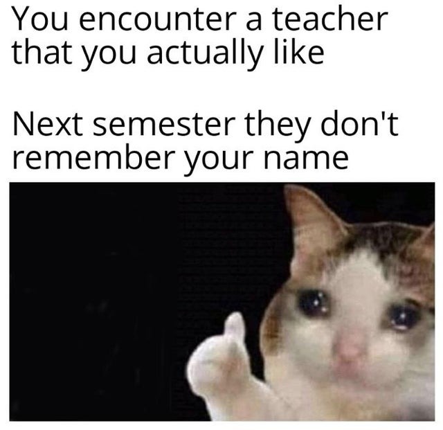 You encounter a teacher that you actually like - meme