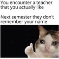 You encounter a teacher that you actually like