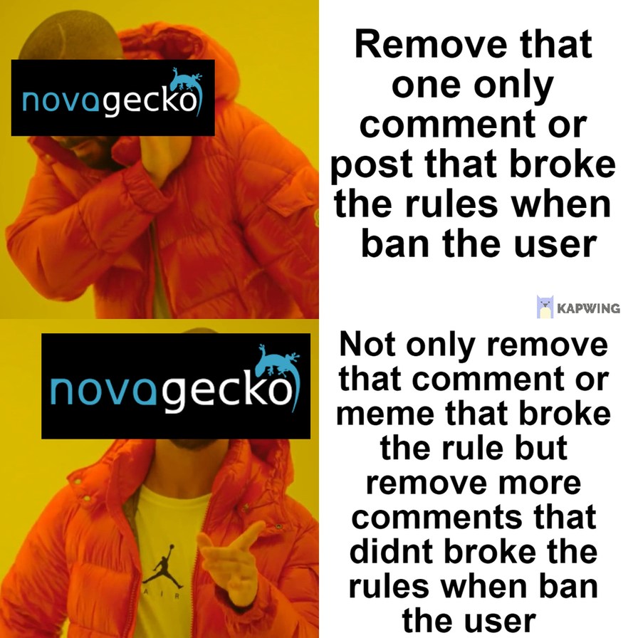 Why nova gecko - meme