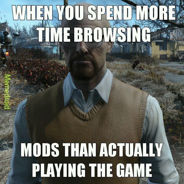 Fallout life - meme