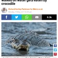 Why did he try to make his point in a crocodile filled river instead of a pool?