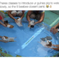 commented item thumbnail