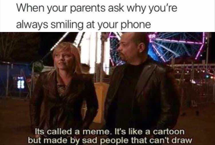 A meme is like a cartoon but made by sad people that can't draw