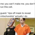 The mitochondria is the powerhouse of the cell