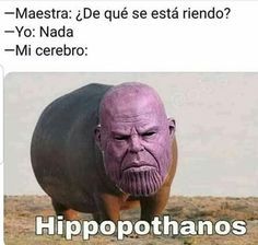 Hippopothanos - meme