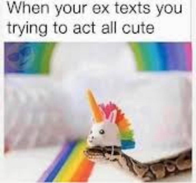 Ex texting you - meme