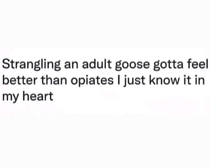 Opiates do feel pretty good - meme