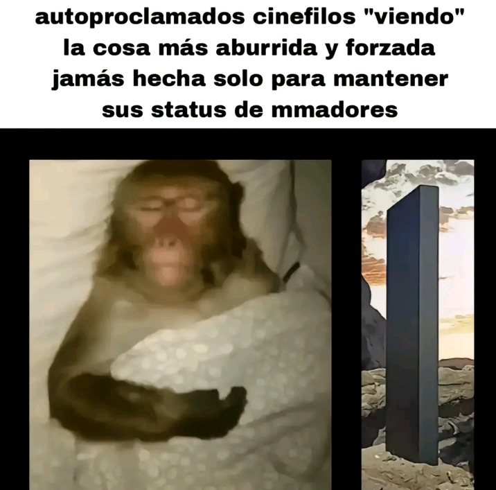 Zy - meme