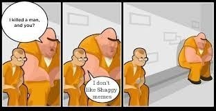 Shaggy - meme