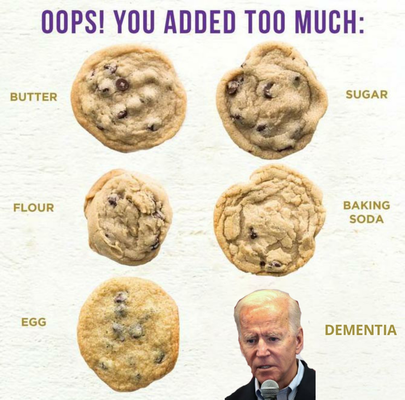Biden is a fool - meme