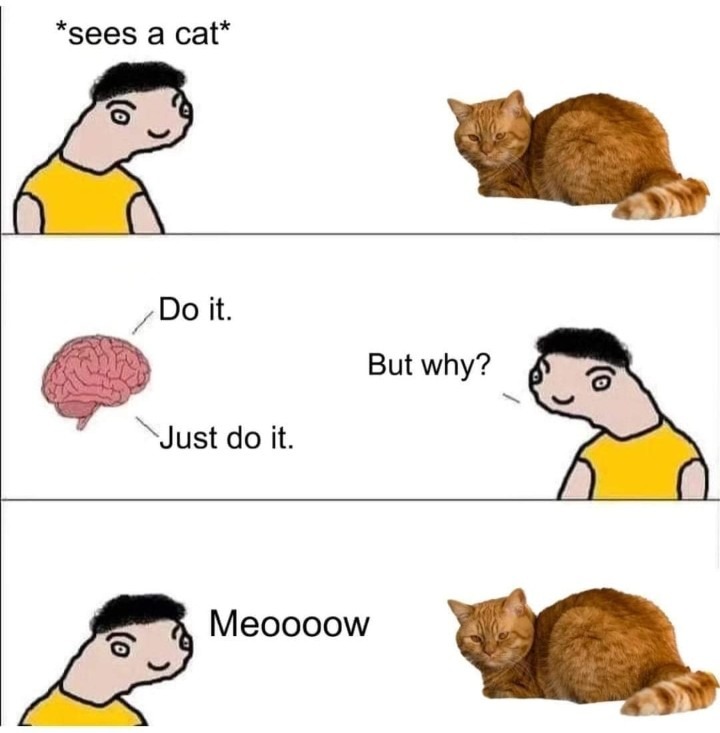 Meoooow - meme