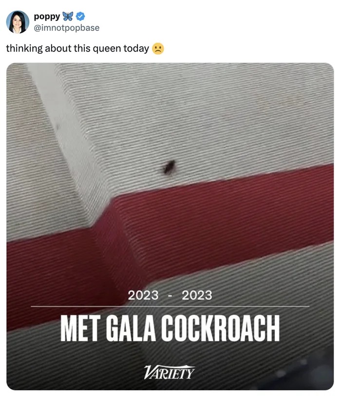 Met Gala Cockroach was elegant af - meme