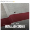 Met Gala Cockroach was elegant af