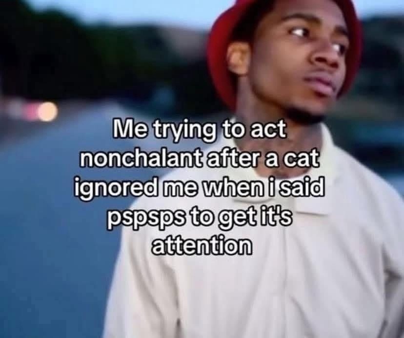 Acting cool after a cat ignores your pspsps - meme