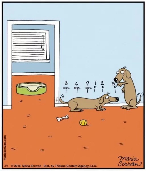 measuring ? - meme