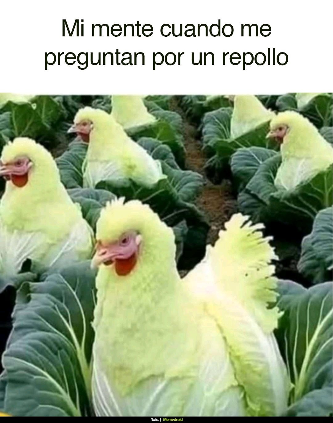 Repost - meme