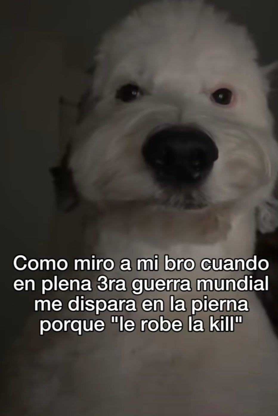 Así lo miro cuando me dispara en plena guerra por una kill - meme