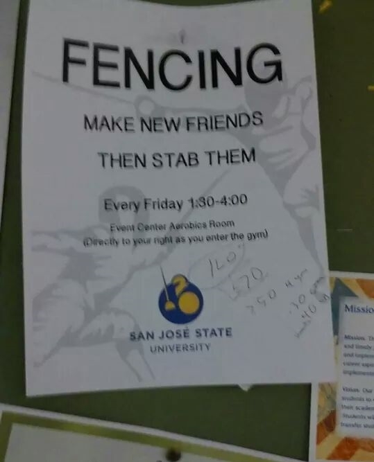 Fencing anyone? - meme
