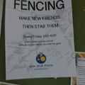 Fencing anyone?