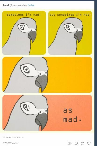 Fuckin pigeons - meme