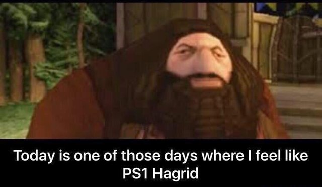 Today is one of those days where I feel like PS1 Hagrid - meme