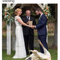 Asked my dog to be my best boy at my wedding