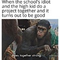 Apes together strong.