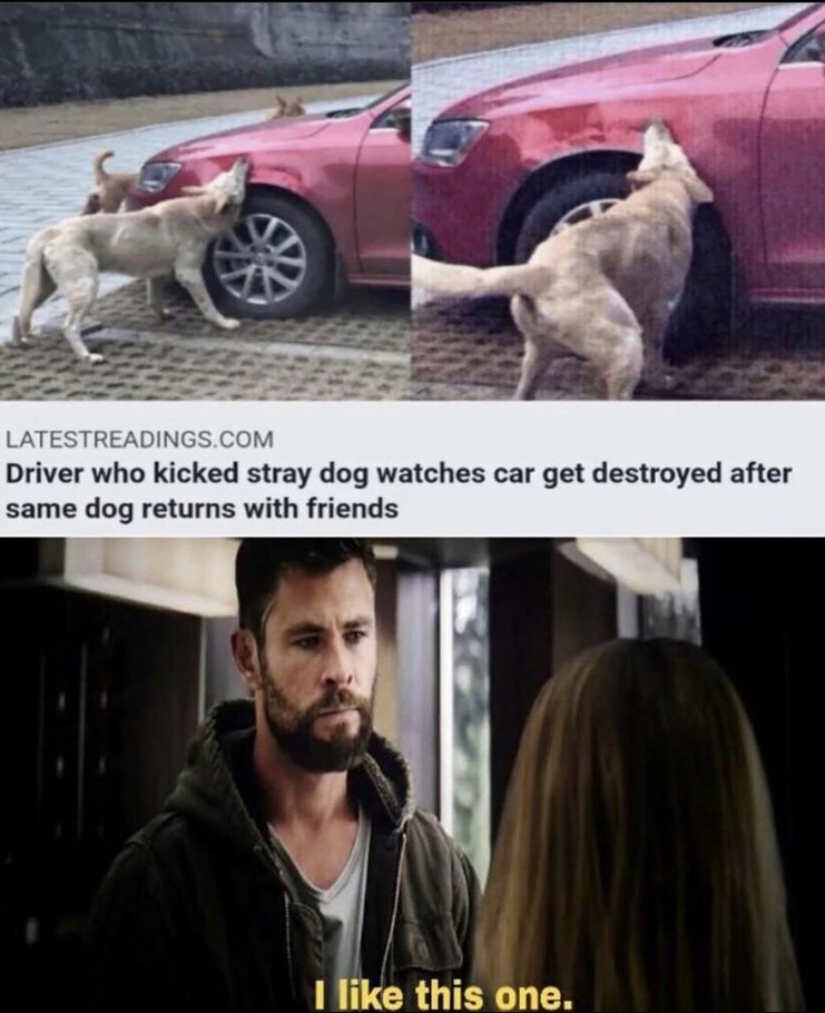 Karma? - meme