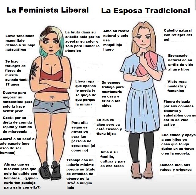 La Feminista Liberal vs La Esposa Tradicional - meme