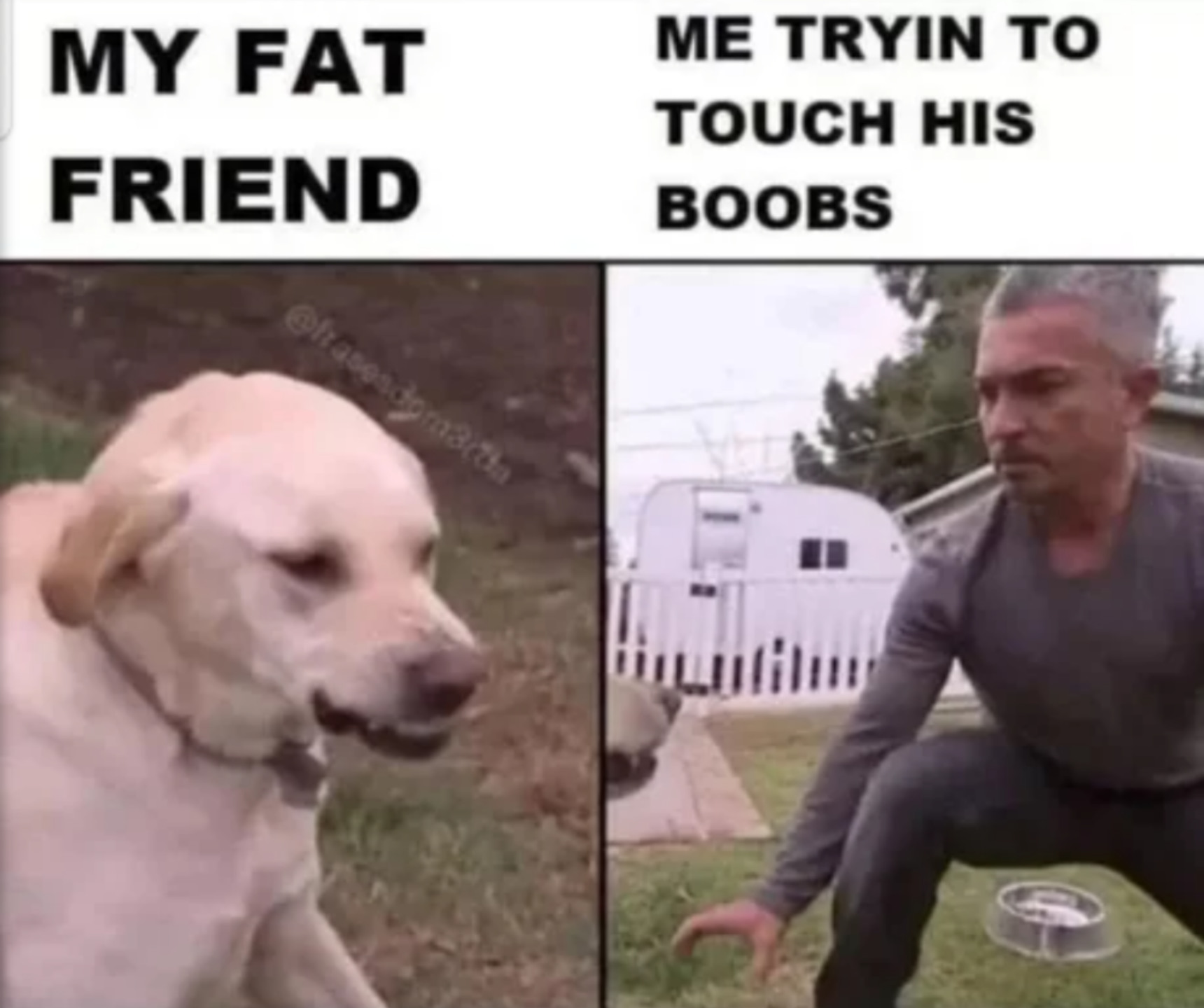 Bromance - meme