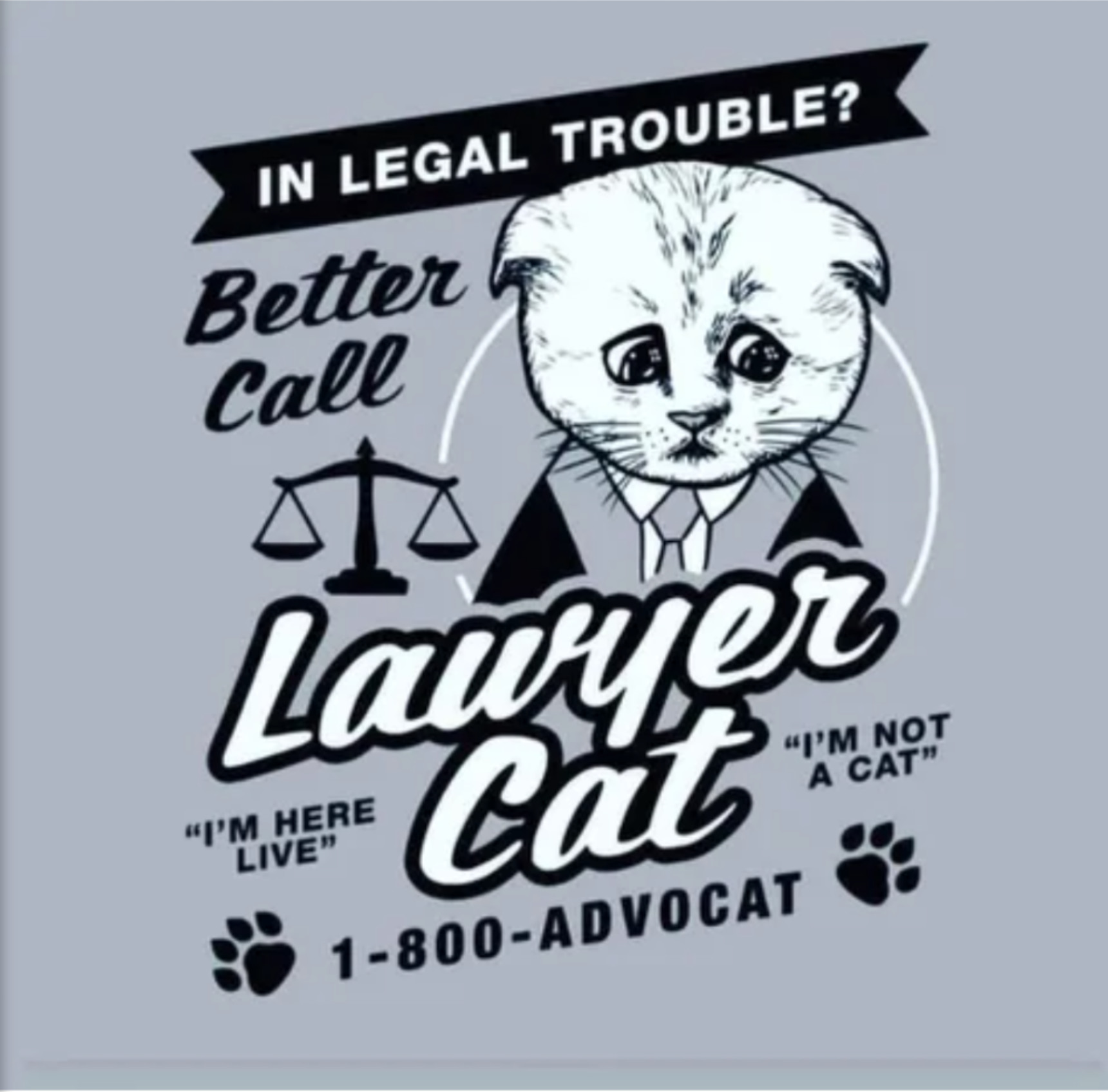 Lawyer cat - meme