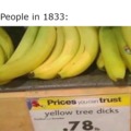 The real name of bananas: Yellow tree dicks