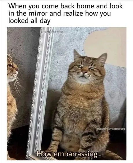 Looking yourself in the mirror after all day - meme