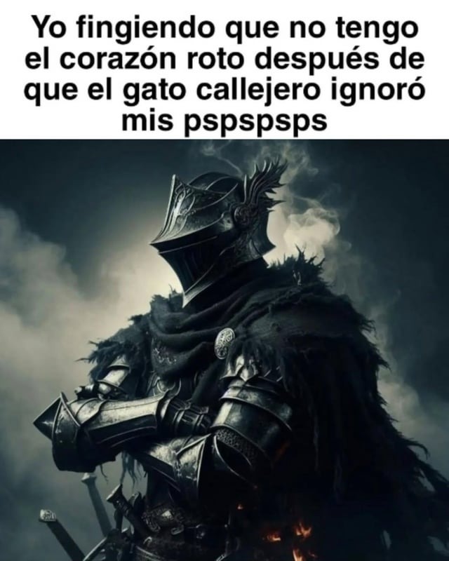 los gatos callejeros son orgullosos - meme