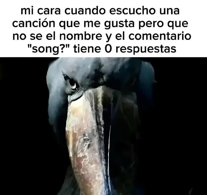 Jode que flipas - meme