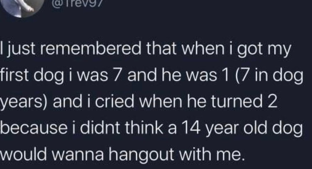 Me crying cuz my dog was aging faster than me - meme