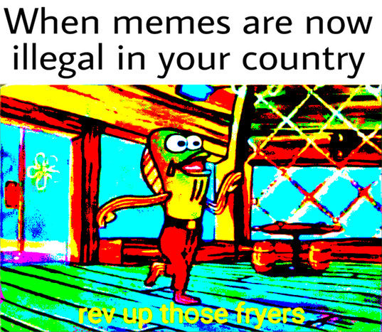 When memes are illegal in your country