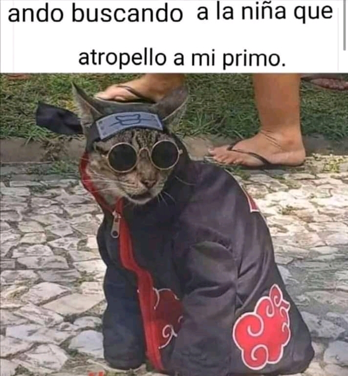 30 MINUTOS DE MEMES EM IMAGENS - akatsuki 