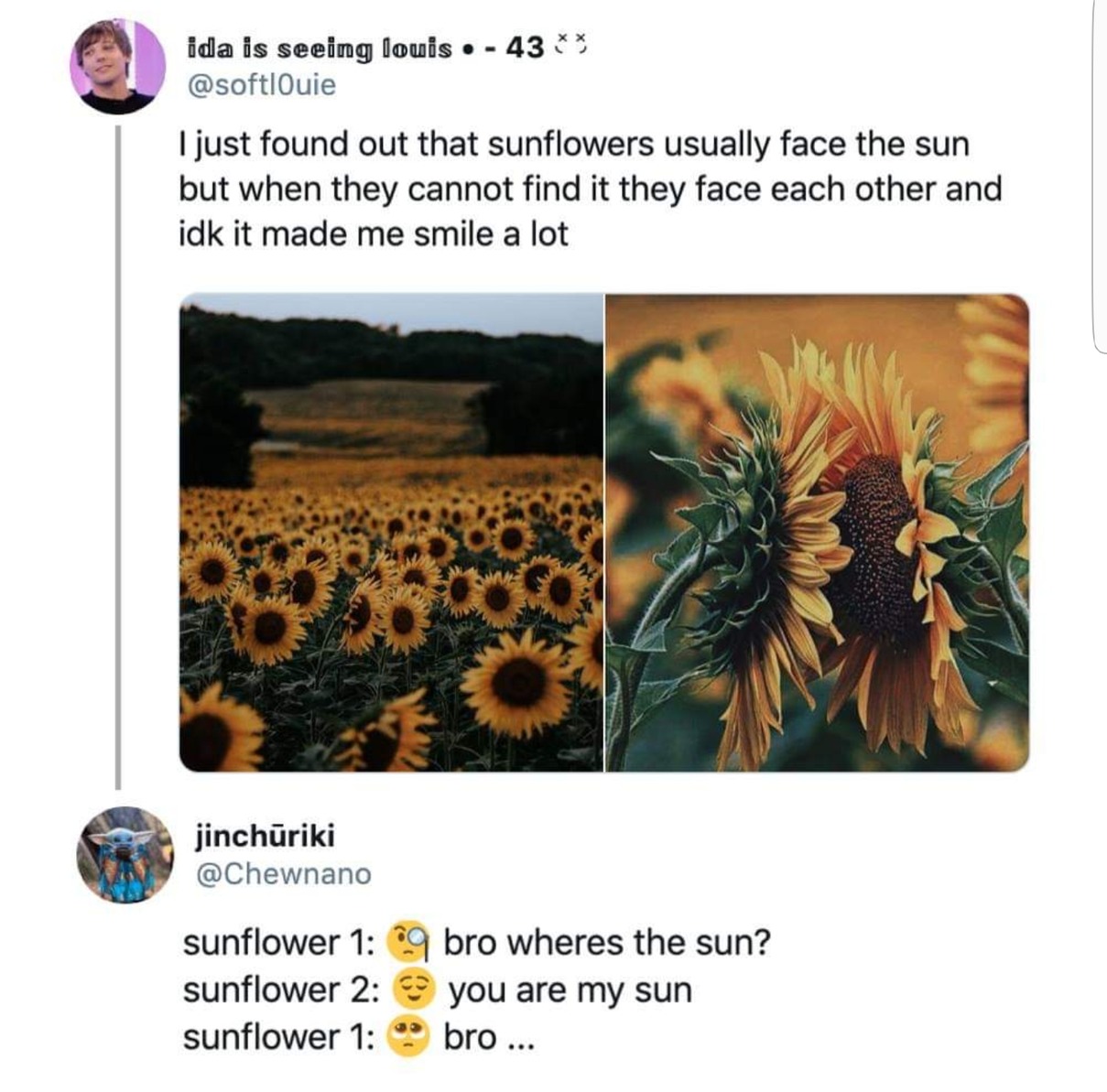 Sunflower - meme